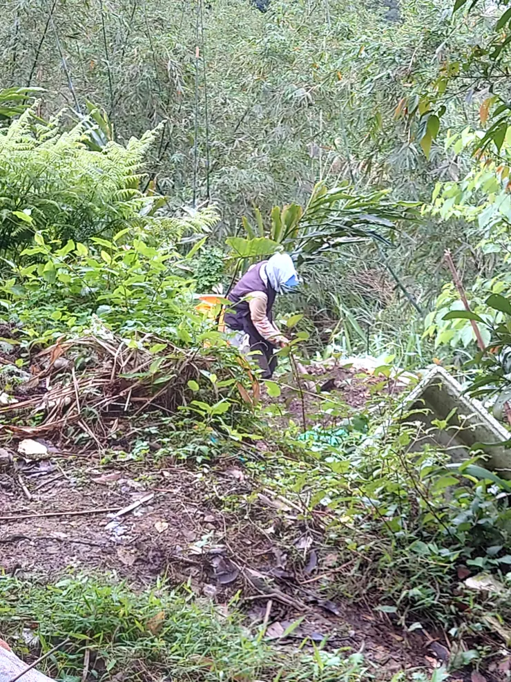 地方阿罵的開心菜園