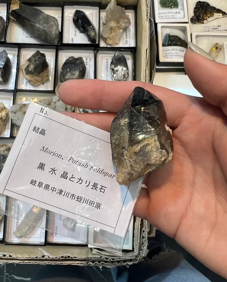 新宿礦物展很適合挖掘日本當地礦物