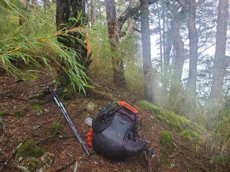 終於到岔路口了