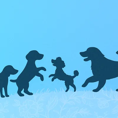 殘聲者的溜花村