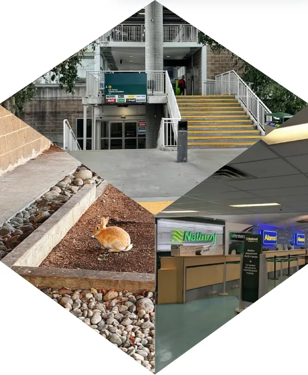 航廈往租車中心∣入口小野兔|租車櫃台