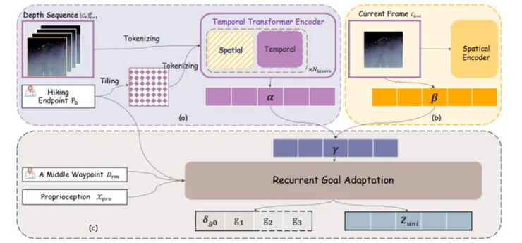 TC-ViT 架構。三個關鍵組成部分: a) 一個以目標為導向的時間轉換器編碼器,用於讓機器人根據最終目標來感知周圍環境; b) 一個針對當前深度幀的平行處理過程,用來整合精確的空間資訊,以反映當前狀態; c) 一個週期性目標調適機制,用來整合視覺感知、目標資訊和本體感覺。