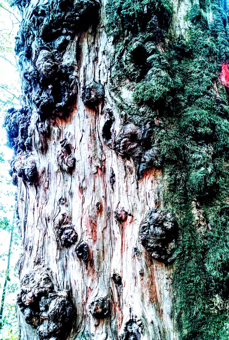 Photographer by Hsun