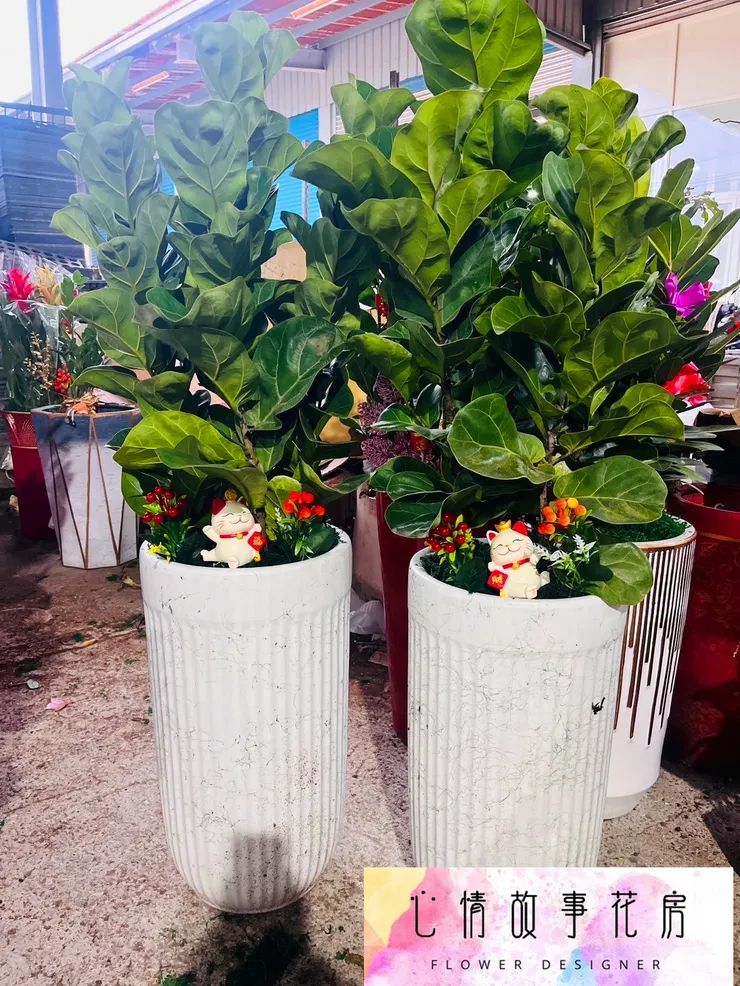 心情故事花房開工大吉！感謝支持，訂單滿滿，服務更升級！