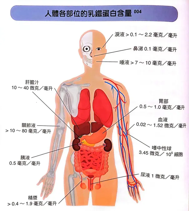 (摘自本書第42頁)