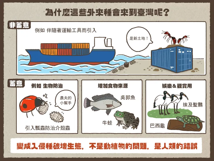 外來種(台灣農業故事館)
