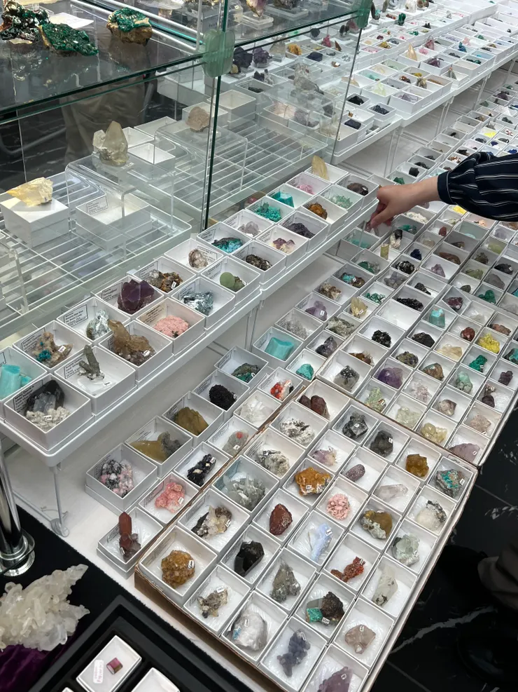新宿礦物展上有超多令人驚豔的礦物標本