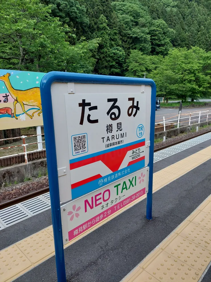 樽見站。回憶真的很美。