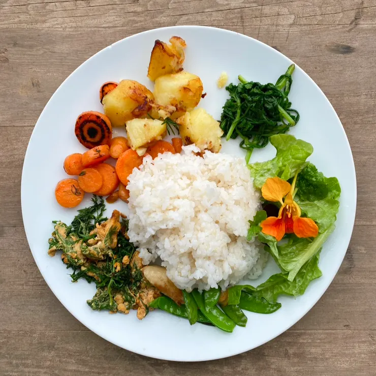 於菜園採摘的食物，被烹調為盤中美食