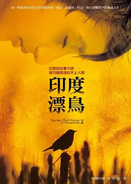 《印度漂鳥》繁體中文版書封