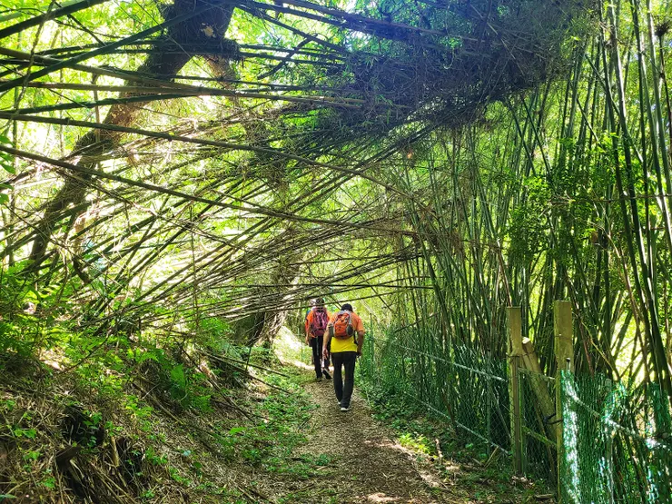 再次進入山徑接中庸一路(惟有一小段步道年久失修，建議在前面中庸一路口即直接踢大路，不走山徑）