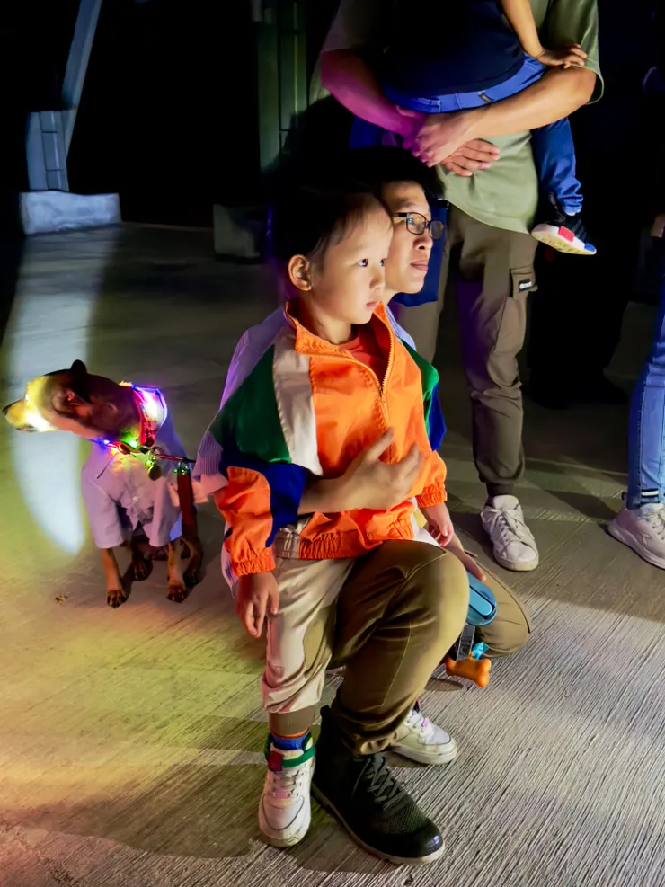 大人小孩都目不轉睛聽老師介紹