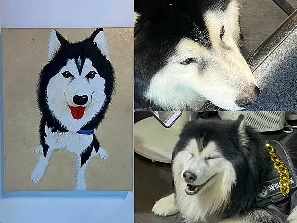 *(台中美食)雅典鑄鐵特色鍋燒意麵 / Life Bar餐酒