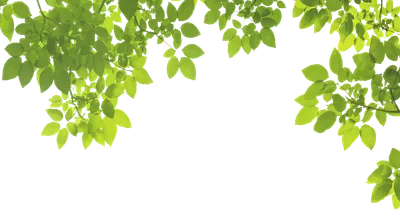 沒有起承轉合的十分鐘