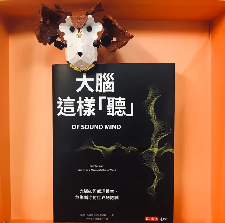 貓頭鷹是小女用LaQ積木做的創作