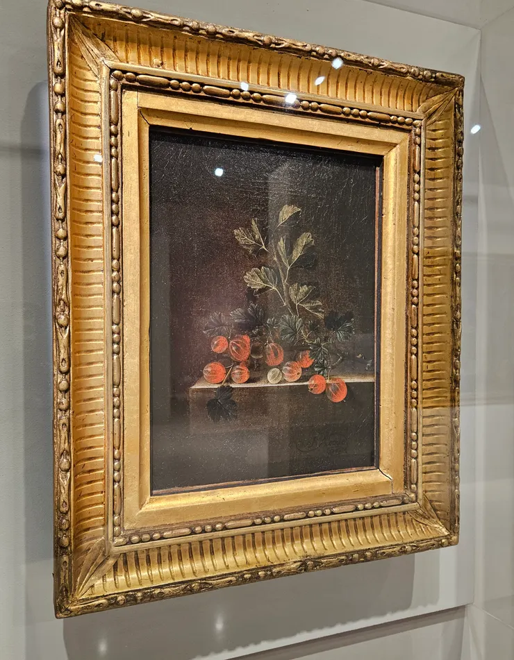 Coorte〈紅醋栗〉，深底色+玻璃隔板反光，難拍debuff疊滿😂