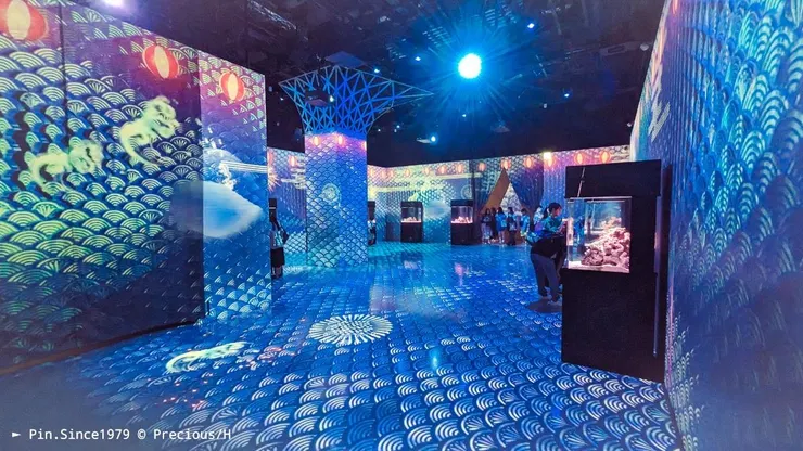 沉浸式空間，展示奇特的海洋生物。
