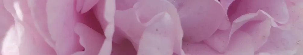 Vivian｜33Garden的沙龍