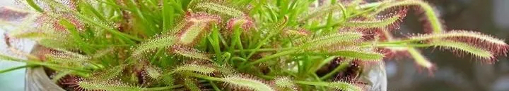 Jason Yau Yau 的沙龍