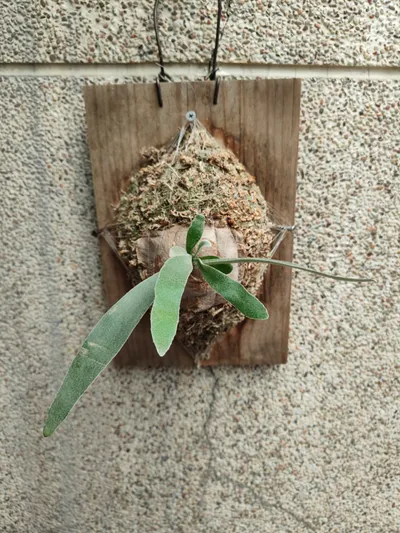 十分困擾的事....