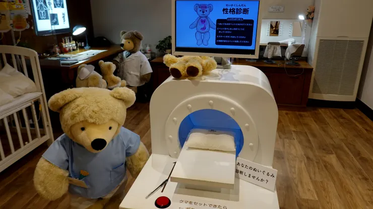 泰迪熊也有看診需求，精密檢查不可少。