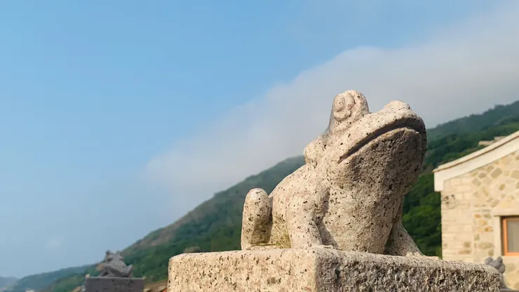 對青蛙抱持著一顆虔誠的心。