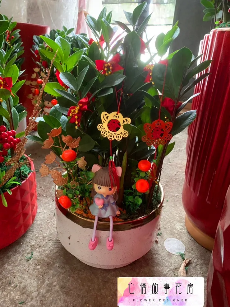 台南人推薦的開工植物盆栽！企業、銀行、醫院愛用，招財又大器！