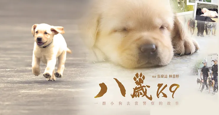 K9: Eight Years Old（2025）