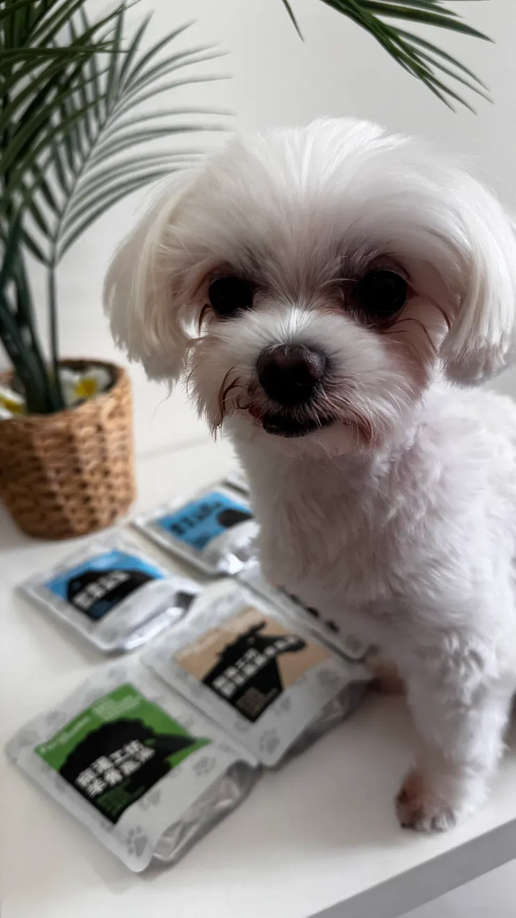 ヤルキ（Yaruki）