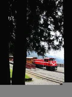 從森林步道入口看火車