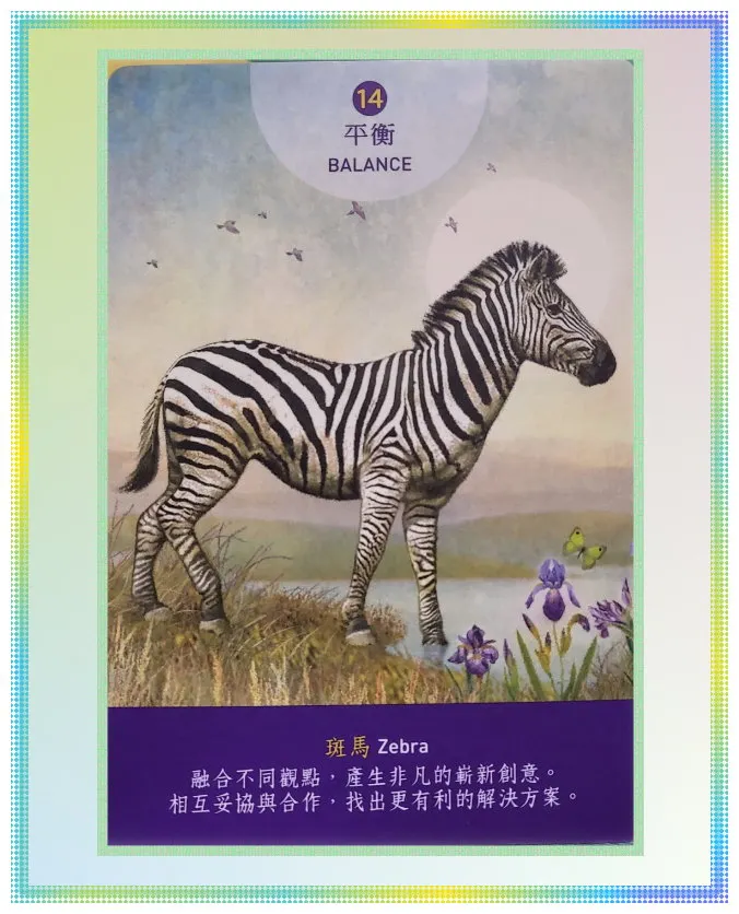 斑馬 Zebra
