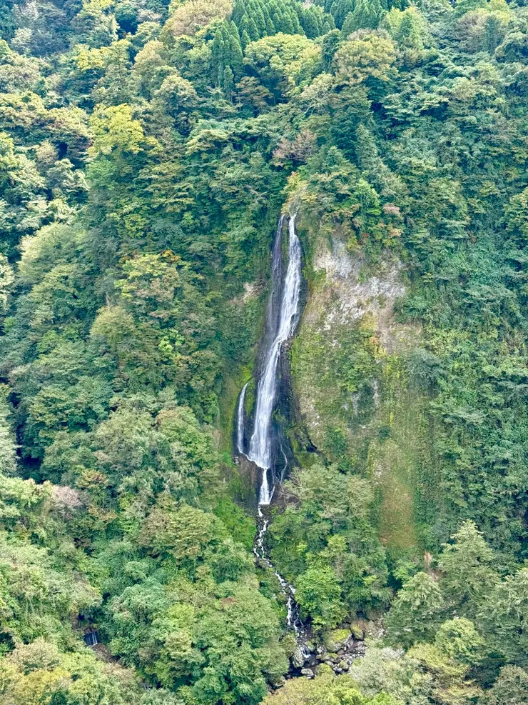 震動瀑布的「雌瀑」，有柔美的線條。