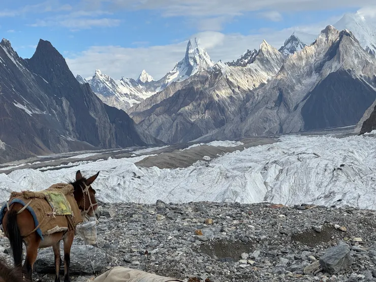 向尖牙一樣聳立天際的慕士塔格峰