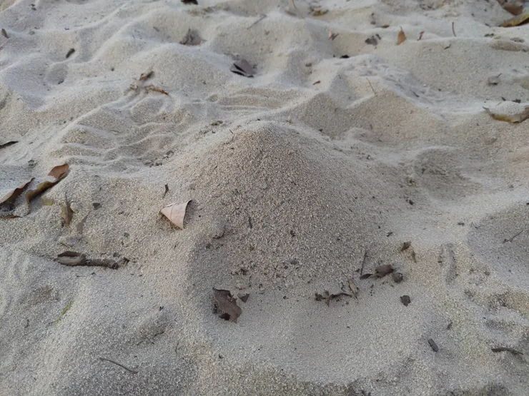 完成品：孩子非常滿意這座「山」，應孩子要求，拍照留念