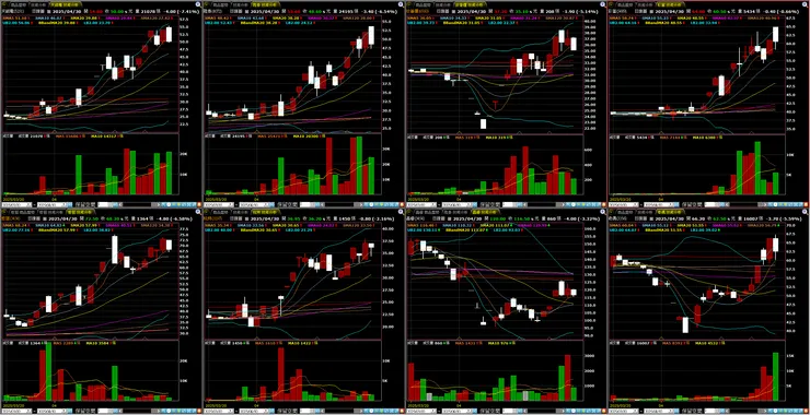 安控－族群個股