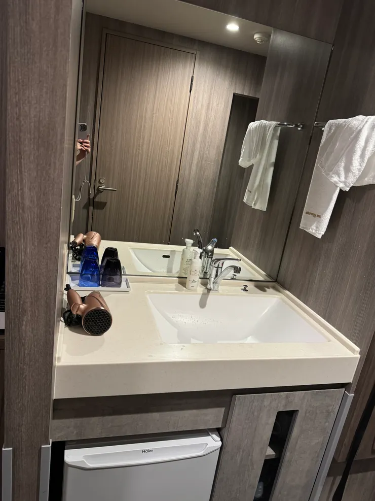 洗漱區，從鏡子看到的門就是廁所