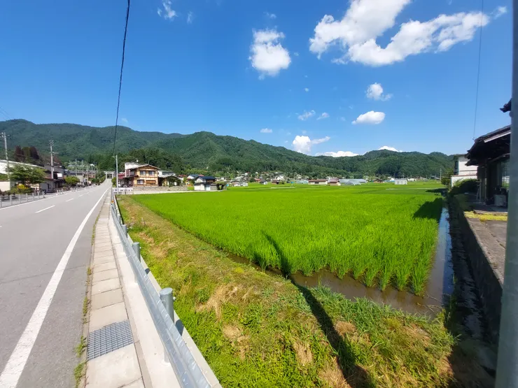 一往無際的筆直道路，加上旁邊綠油油的稻田，我獨自一人慢慢地走著，這真的是在熱鬧的台灣幾乎沒有的體驗