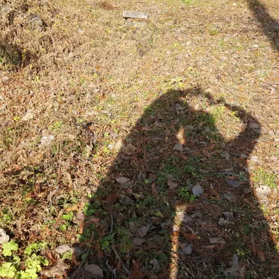 西安一隻貓的沙龍