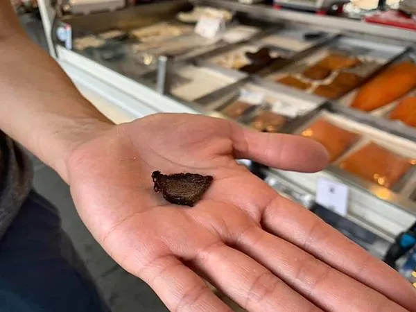 300天環遊世界之旅：挪威自駕露營全紀錄