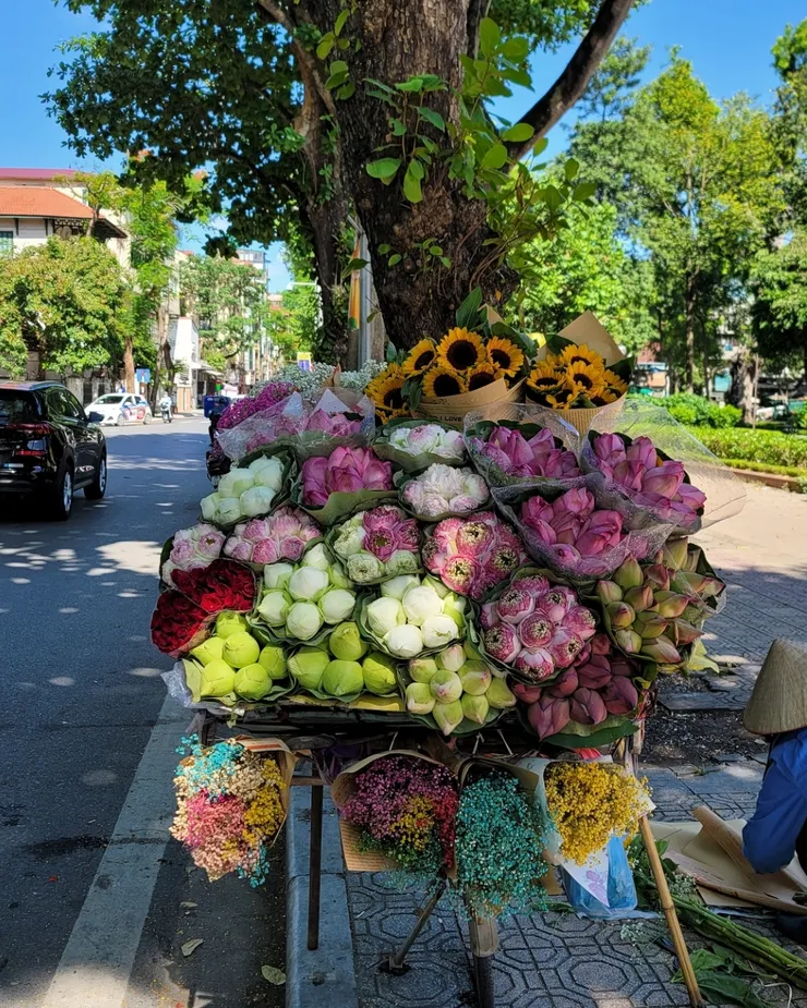 河內巴亭廣場旁的腳踏車攤販