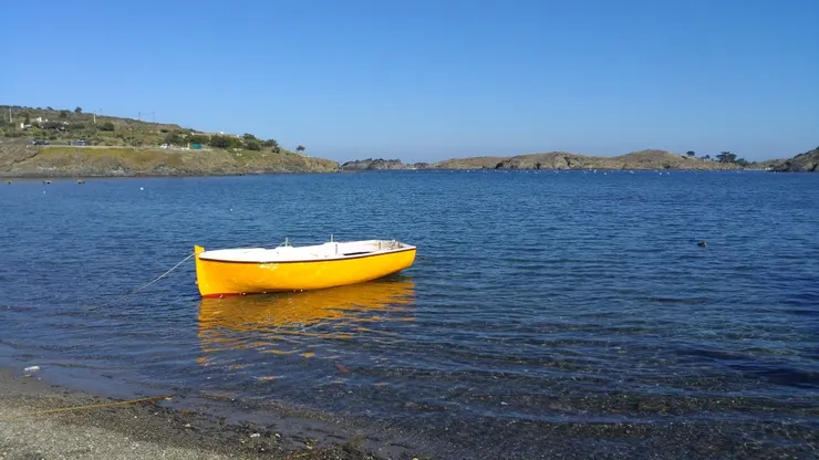 水清澈的不像話，可以清楚地看到水草