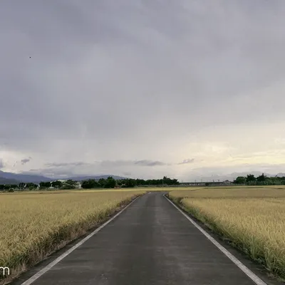 媃伊每天學習一點點的沙龍