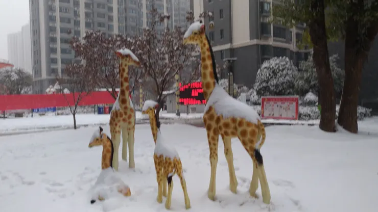 元旦清晨醒來,窗外竟然下雪了,整座城市被輕輕覆蓋成白色。街道安靜得出奇,像時間被暫停,一切都重新開始。