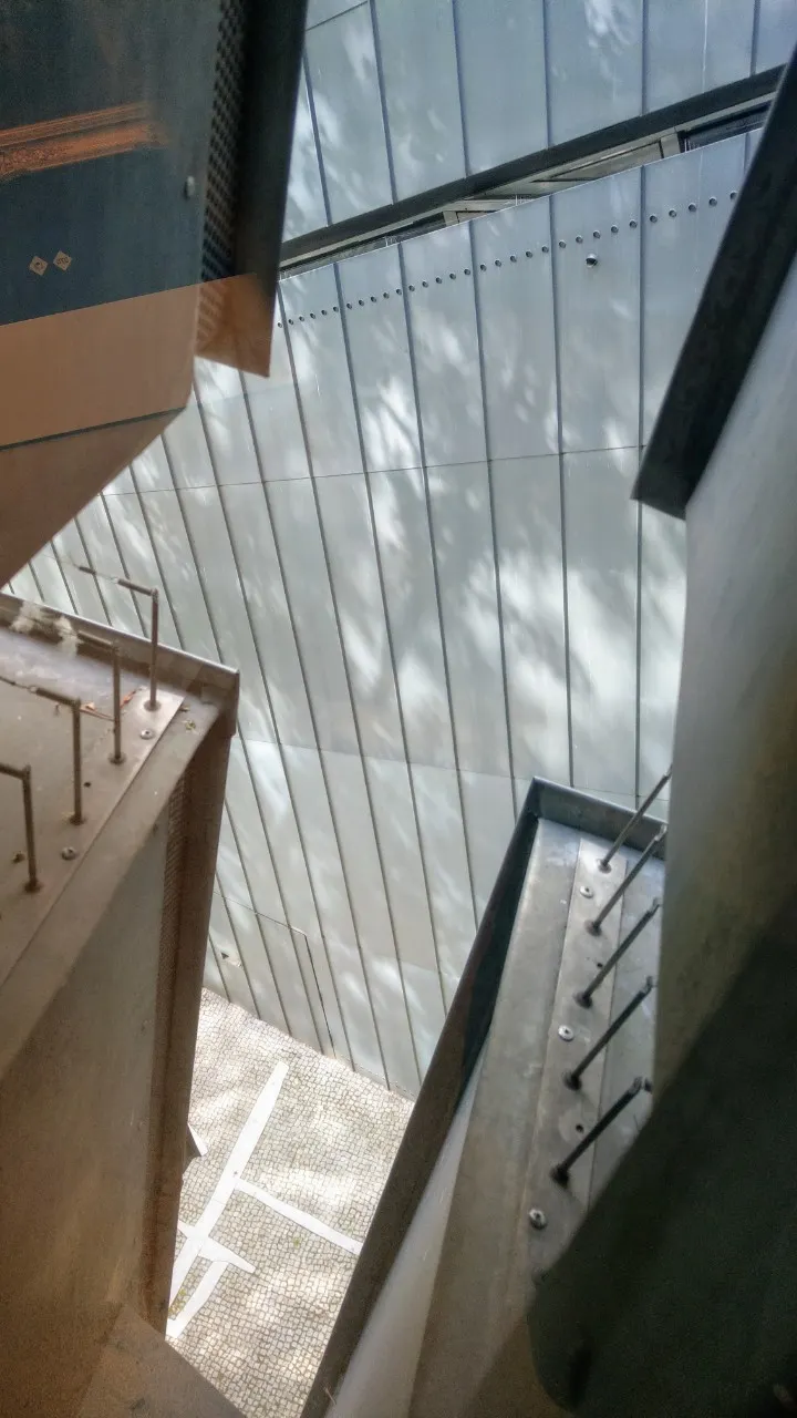 除了樹葉，還會有鳥在上面築巢