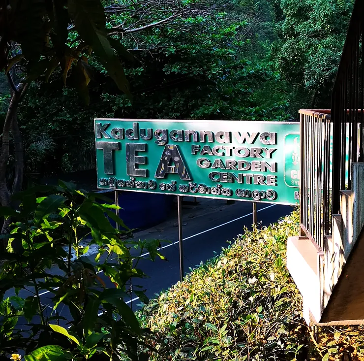 司機推薦的茶莊