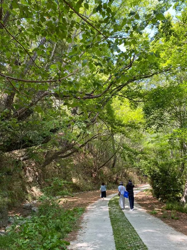 前往「台灣櫻花鉤吻鮭生態中心」的步道上，涼爽宜人又寬敞，有時間千萬不要錯過。