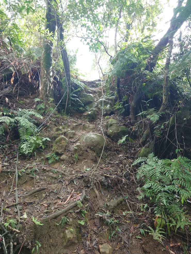 我在這個陡坡滑倒一次