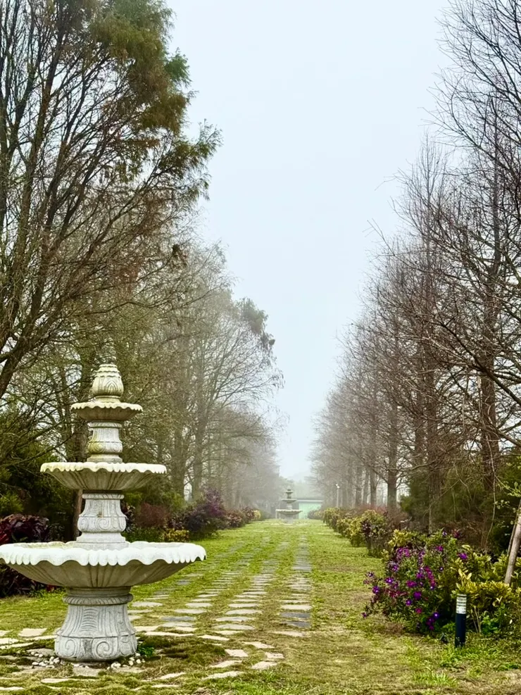 走過情緒的霧裡，我終於明白—放下控制，是我回家的路。