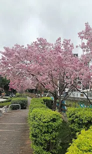 園區造景之美（圖片截圖於網路）