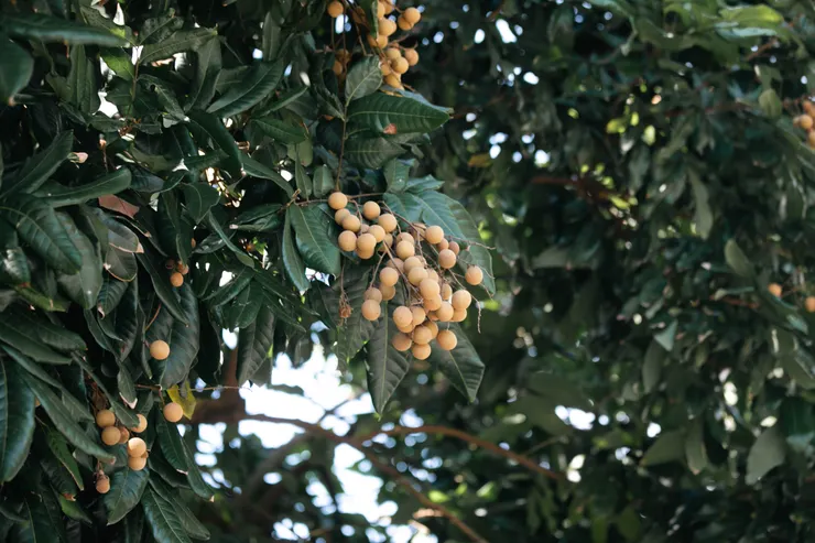 土地與人都滋味正好（圖 / REX）